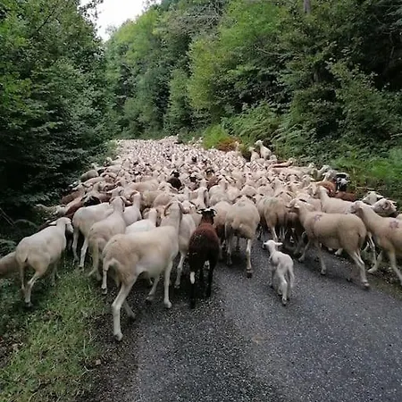 La Tignoise Сasa de vacaciones Tignac